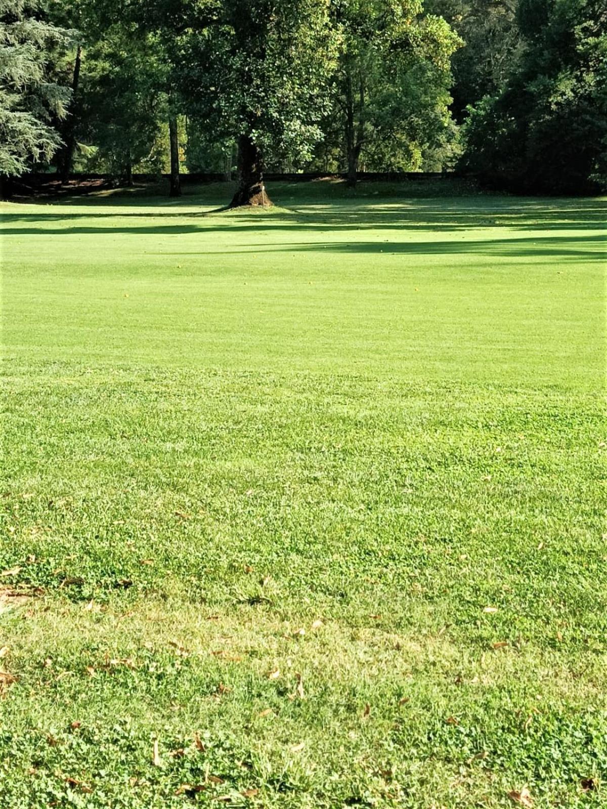 Fronte Del Golf Apartment Rapallo Ngoại thất bức ảnh